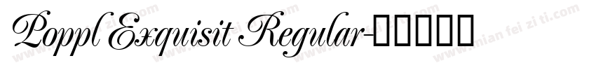 Poppl Exquisit Regular字体转换